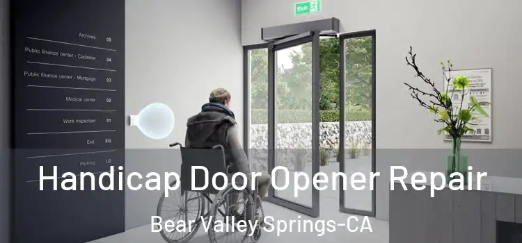  Handicap Door Opener Repair Bear Valley Springs-CA