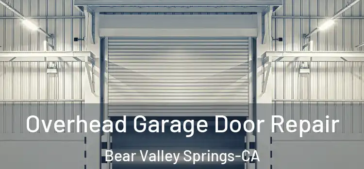  Overhead Garage Door Repair Bear Valley Springs-CA