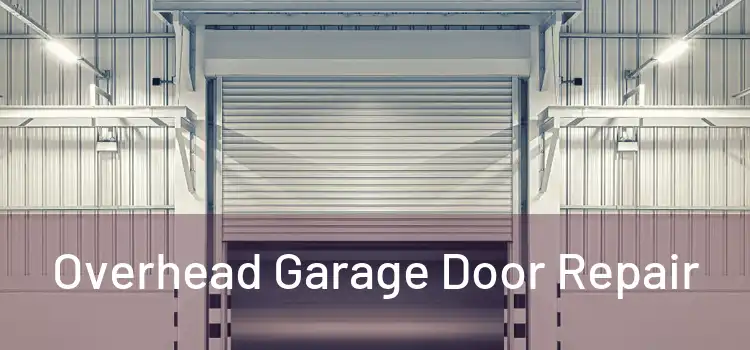  Overhead Garage Door Repair 